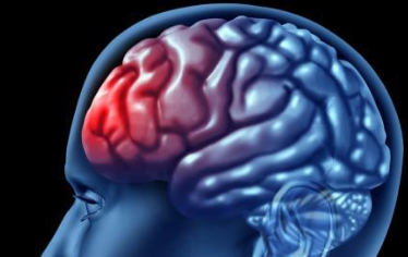 研究揭示了一种新的神经保护机制来控制脑损伤后的损伤