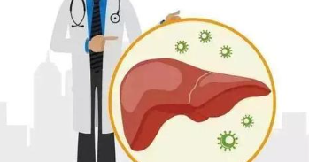 自体攻击性免疫细胞在非酒精性脂肪性肝炎中引起肝脏免疫病理