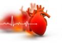 停止信号分子的基因调节活性有助于预防心力衰竭
