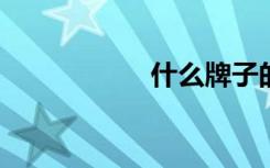 什么牌子的料理机好